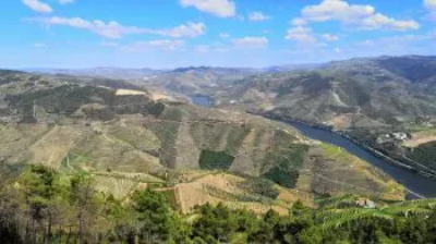Porto and Douro Wine Region