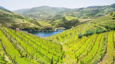 Távora-Varosa Wine Region