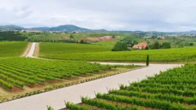 Lisbon Wine Region