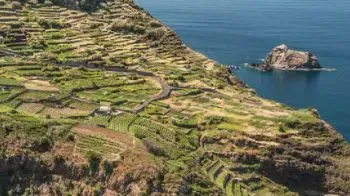 History and Characteristics of Madeira Wine
