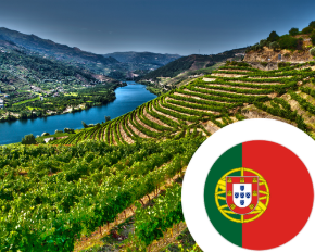 Picture for category Wine from Portugal