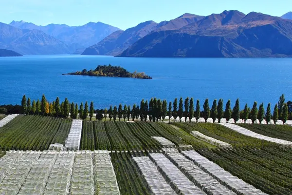 New Zeland