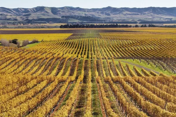 New Zeland