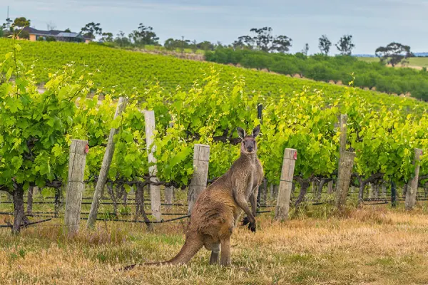 Australia