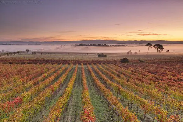 bairrada